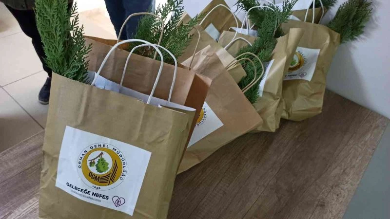 TAPU İŞLEMİ YAPANA FİDAN HEDİYE