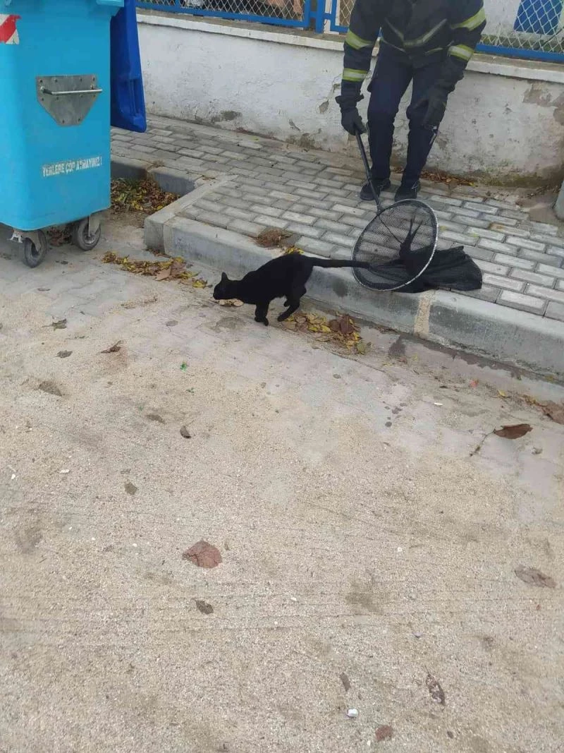 ÇATIDA MAHSUR KALAN MİNNOŞ KURTARILDI