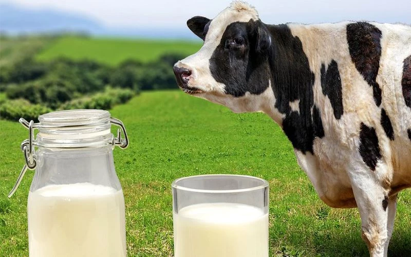 AK PARTİLİ ÖZCAN’DAN SÜT ÜRETİCİLERİNE MÜJDE