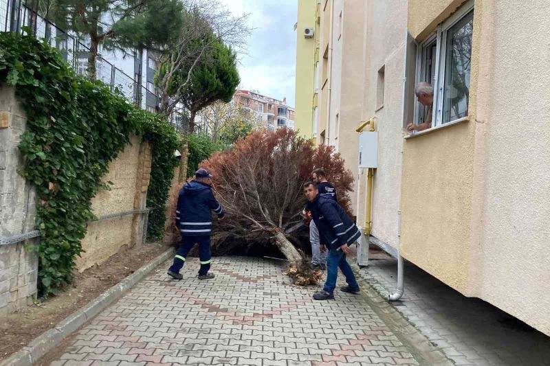 LODOSUN YARALARI SARILIYOR