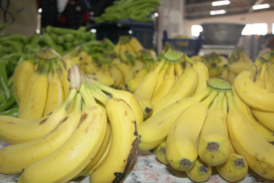 PAZARDA FİYATLAR YÜZDE 25 DÜŞTÜ