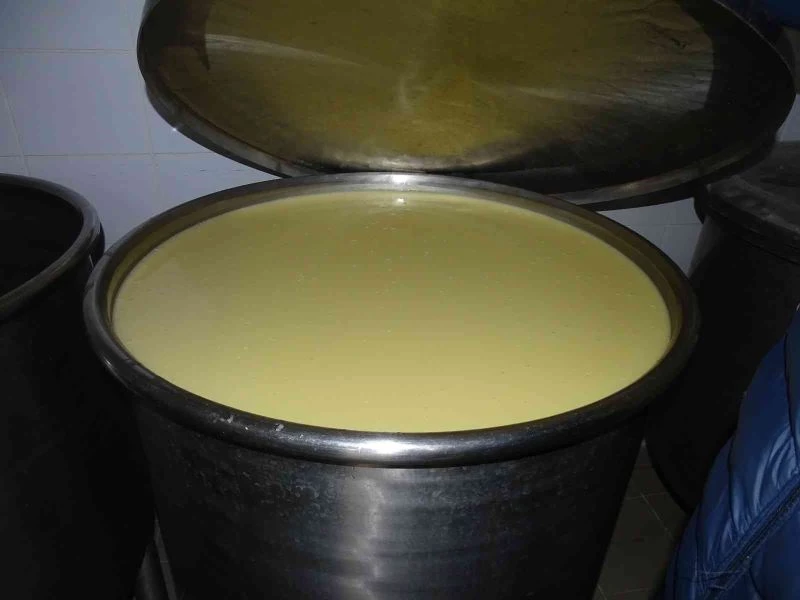 BOZA DİYARINA İNCELEME 