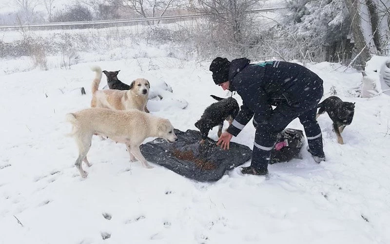 SÜLEYMANPAŞA BELEDİYESİ KAR YAĞIŞININ ÇİLEYE DÖNÜŞMESİNİ ÖNLEDİ