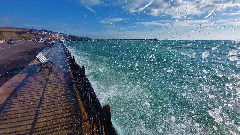 TEKNELER ADETA DANS EDİYOR