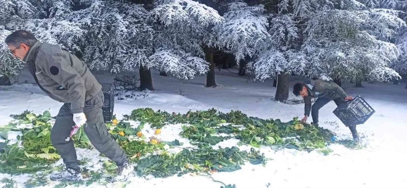 YABAN HAYATINA 15 TON YEM BIRAKILDI