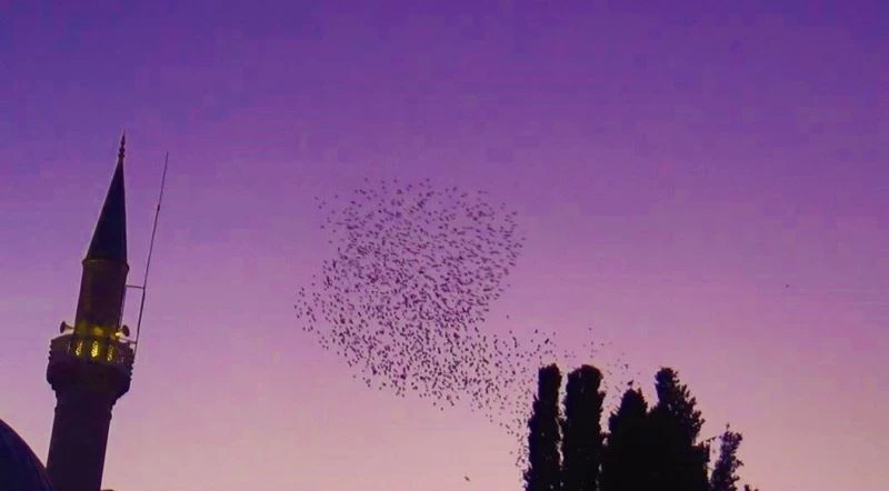 GÖKYÜZÜNÜN KIZILLIĞI EŞLİĞİNDE MUHTEŞEM DANS 