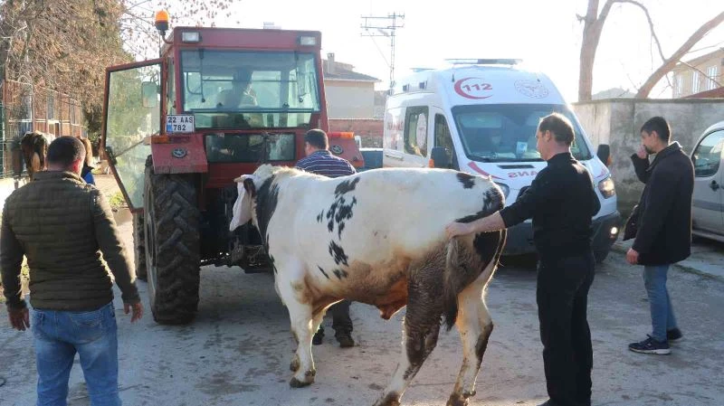 SAMANLIKTA ÇIKAN YANGINDA HAYVANLARINI KURTARMAK İÇİN SEFERBER OLDULAR 