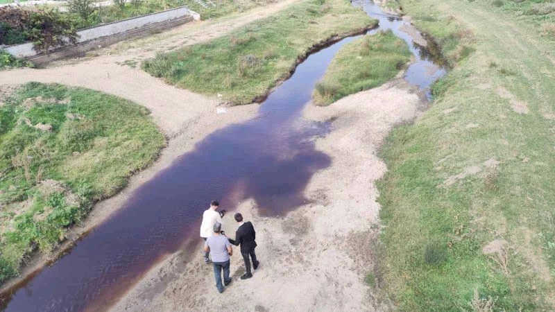 BALIK ÖLÜMLERİYLE İLGİLİ VALİLİK