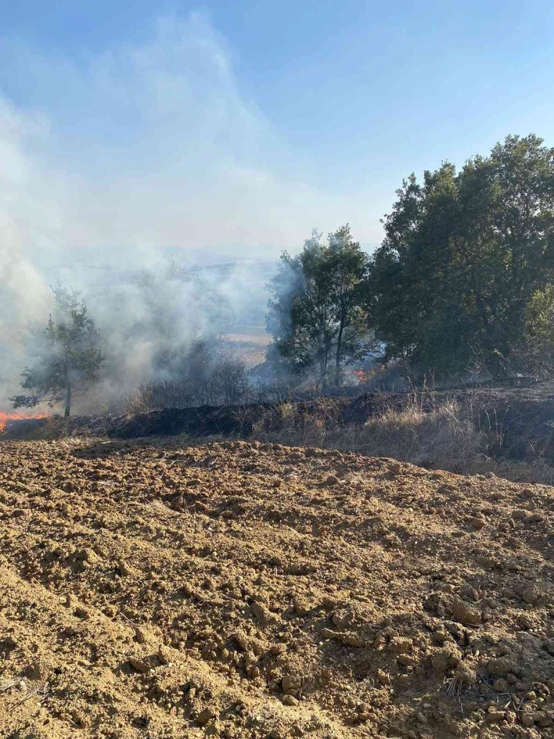 YOL KENARINA ATILAN İZMARİT YANGIN ÇIKARDI
