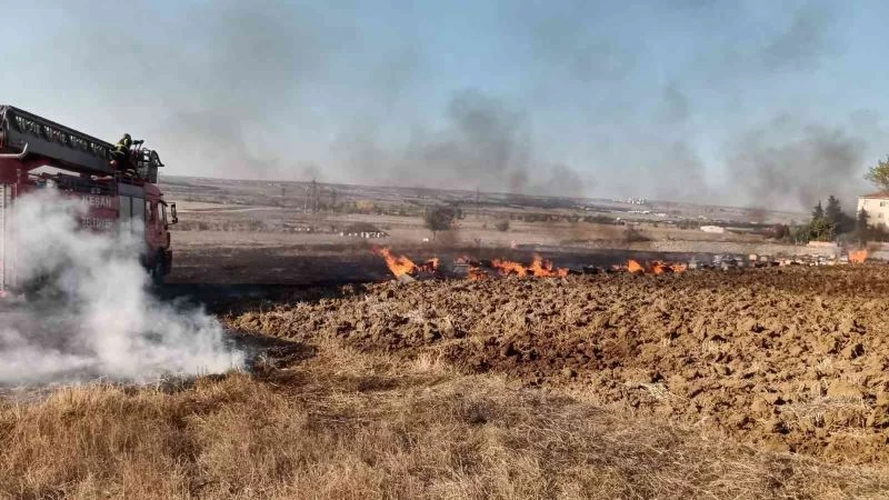 KÖRÜĞÜNÜ DÜŞÜREN ARICI ÇIKAN YANGINDA YARALANDI