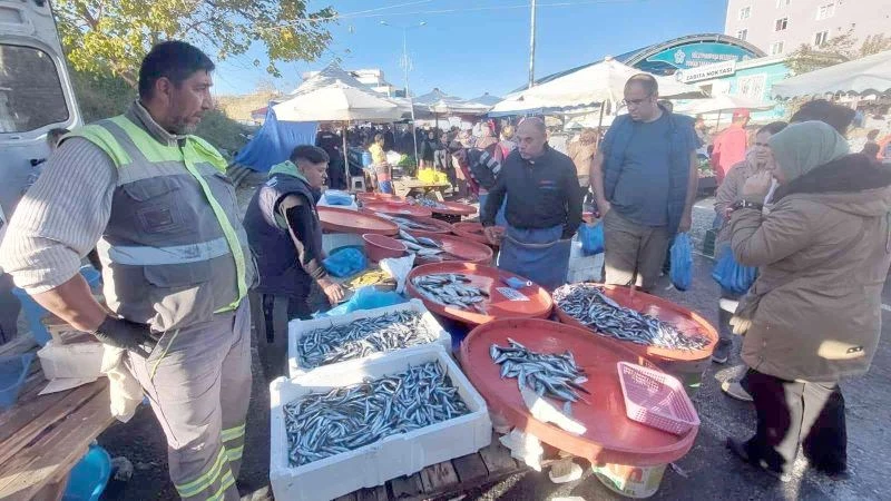 HAMSİNİN FİYATI DÜŞTÜ