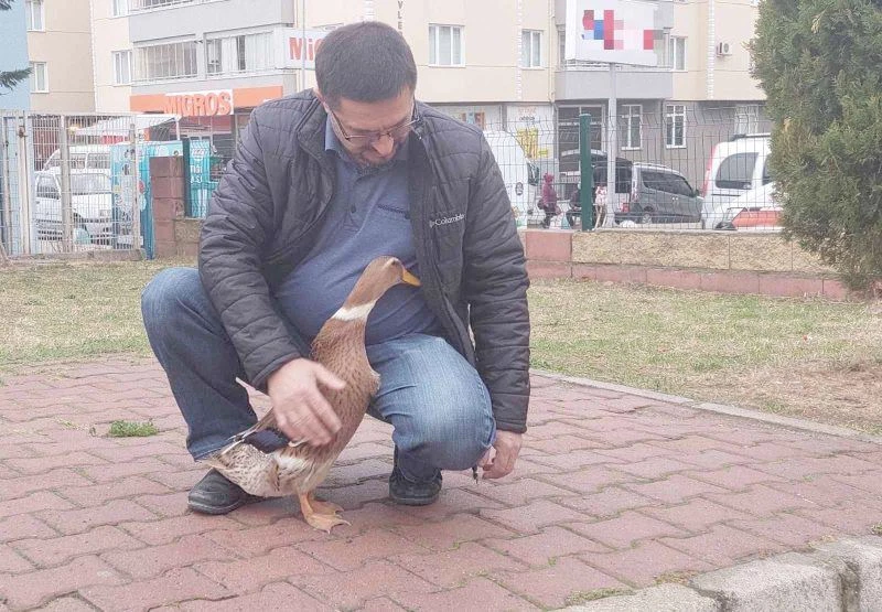 ÖRDEĞİYLE GEZEN ADAM