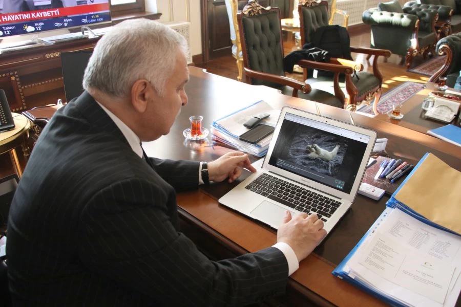 VALİ YILDIRIM, ANADOLU AJANSI