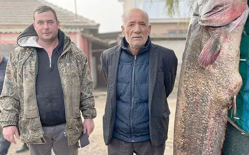 2 METRELİK BALIK OLTAYA TAKILDI: YOLDAN GEÇENLER TELEFONA SARILDI