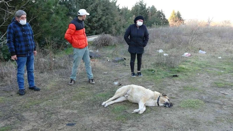 SİTE SAKİNLERİ ÇORLU BELEDİYESİ