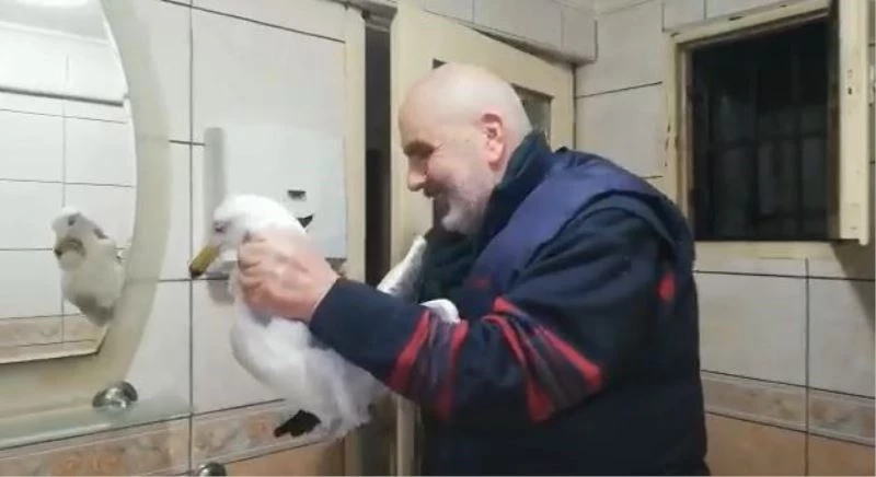 HAVA BOLŞUĞUNA DÜŞEN MARTIYI VATANDAŞLAR KURTARDI