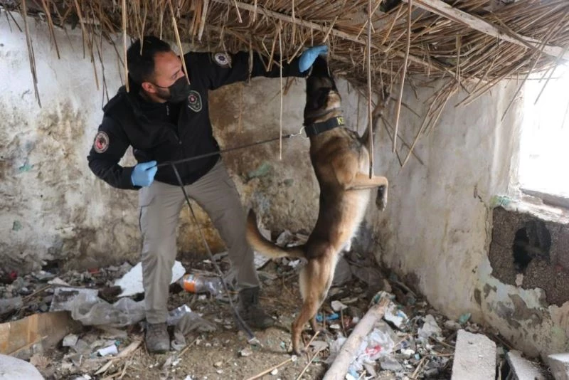 EMNİYETİN HUZUR DENETİMİNDE 6 ARANAN ŞAHIS YAKALANDI