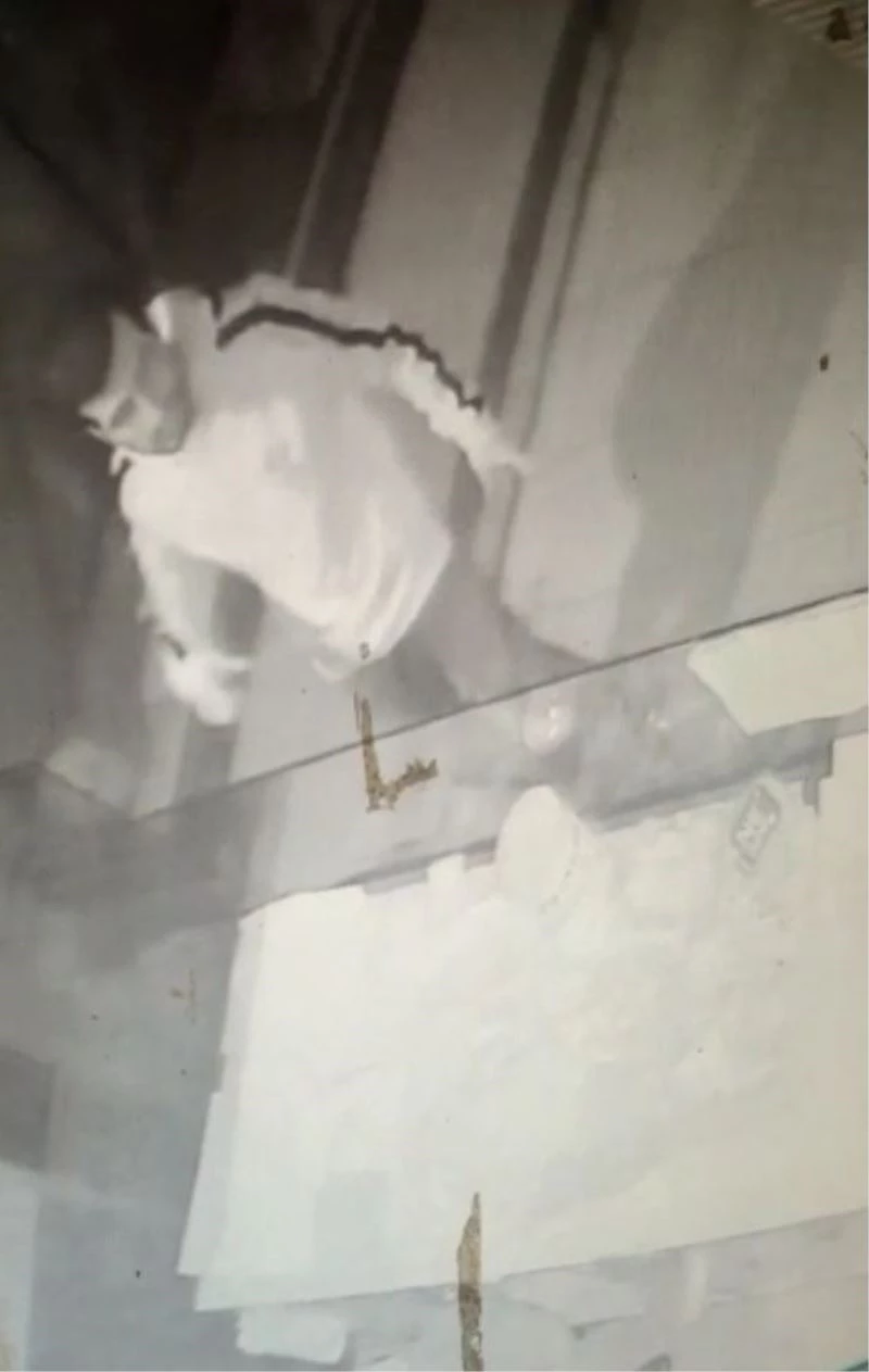 SMA HASTASI BEBEĞİN BAĞIŞ KUTUSUNU ÇALAN ŞÜPHELİ YAKALANDI 