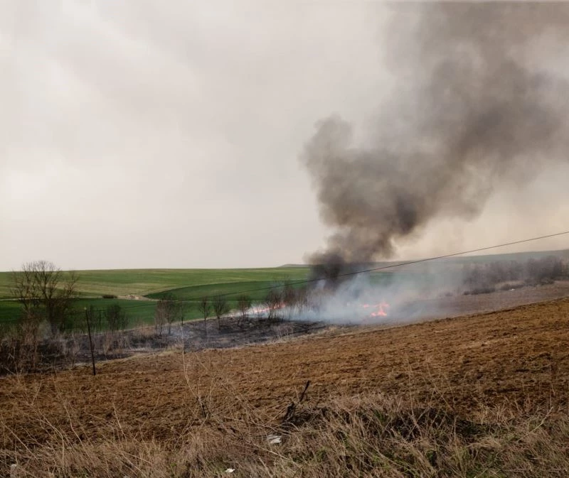 TARLA YANGINI HIZLI MÜDAHALEYLE BÜYÜMEDEN SÖNDÜRÜLDÜ