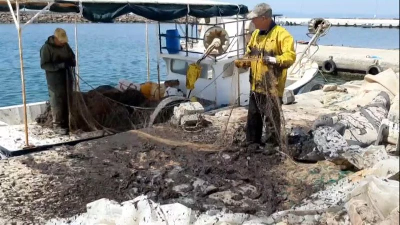 SAROS KÖRFEZİ’NDE BALIKÇILARI TEDİRGİN EDEN GÖRÜNTÜ