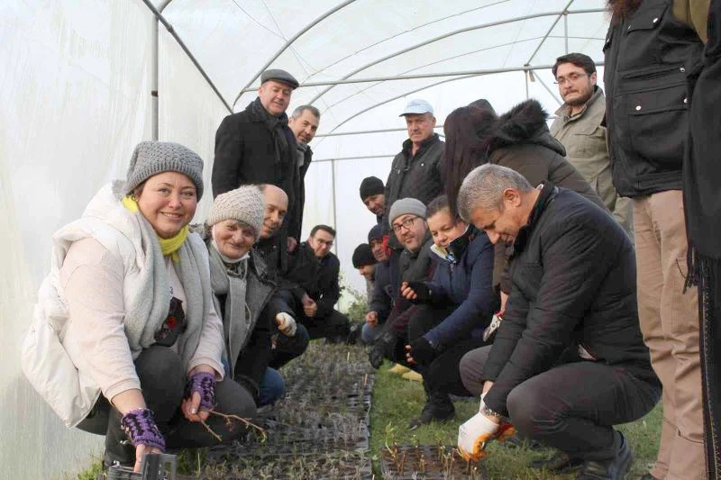 TIBBİ AROMATİK BİTKİ YETİŞTİRİCİLİĞİNE YOĞUN İLGİ