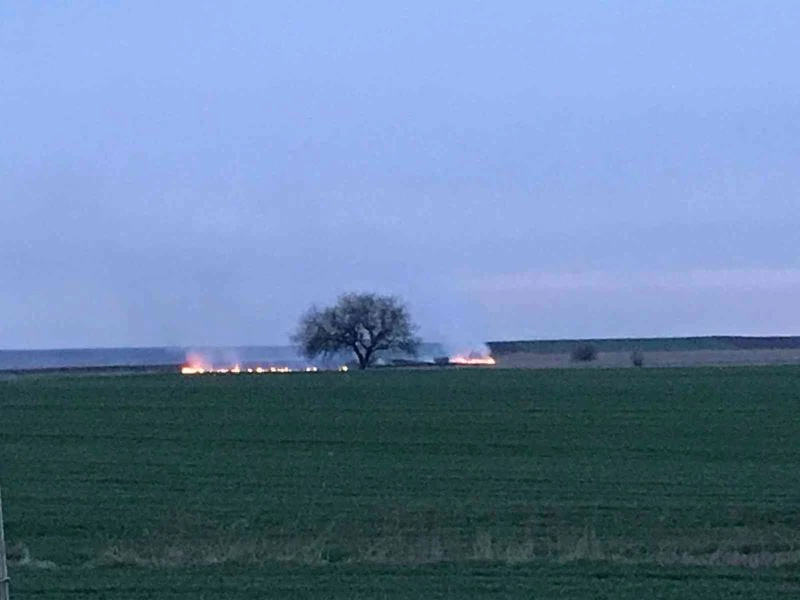 TARLA YANGINI TEDİRGİN ETTİ