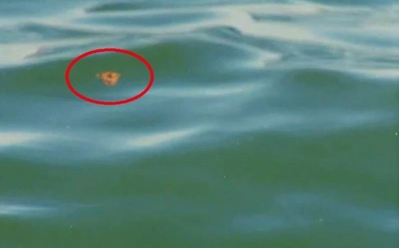 TESKİ’YE 131 BİN 516 LİRA CEZA KESİLDİ