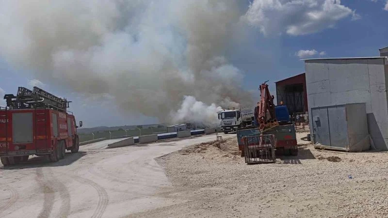 BİYOKÜTLE ENERJİ SANTRALİ