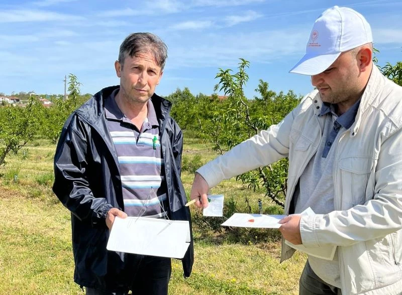 MEYVE HAŞERATLARI ‘FEROMON TUZAKLARI’ İLE TESPİT EDİLECEK