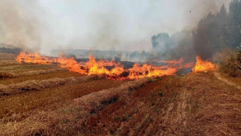 ANIZ YANGINLARINA 155 BİN TL CEZA UYGULANACAK