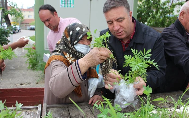SARAY ÇİÇEK GİBİ KOKACAK