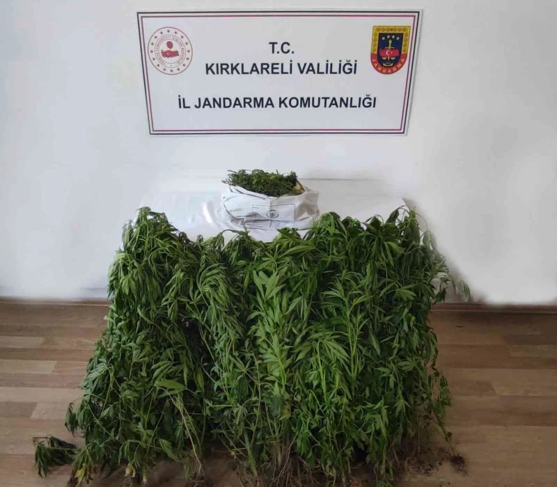 KIRKLARELİ’DE DRONLA TESPİT EDİLEN ADRESLERE JANDARMADAN ŞOK OPERASYON