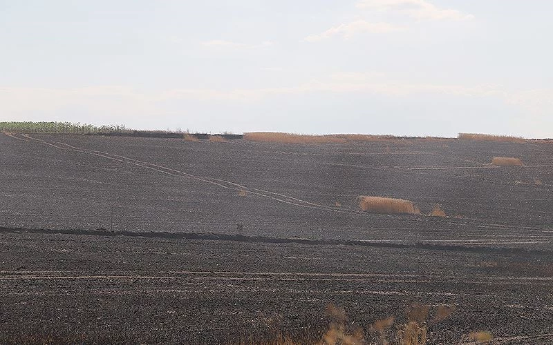 BUĞDAY TARLASI KÜL OLDU