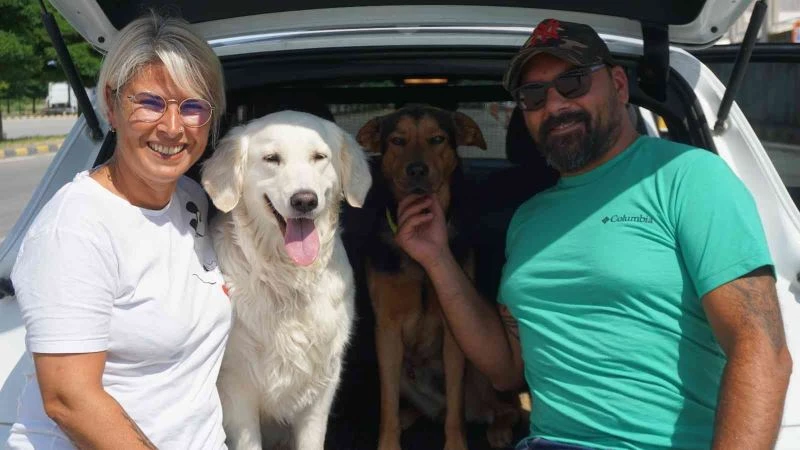 YAZ TATİLİ İLE BİRLİKTE KAPIKULE’DEN GURBETÇİ GİRİŞLERİ BAŞLADI