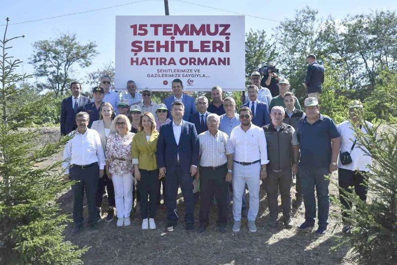 15 TEMMUZ ŞEHİTLERİ ANISINA DİKİLEN 251 FİDAN VE AĞACA BAKIM YAPILDI