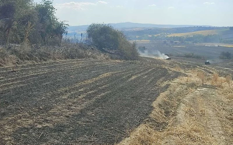 380 DÖNÜM BUĞDAY TARLASI KÜL OLDU 