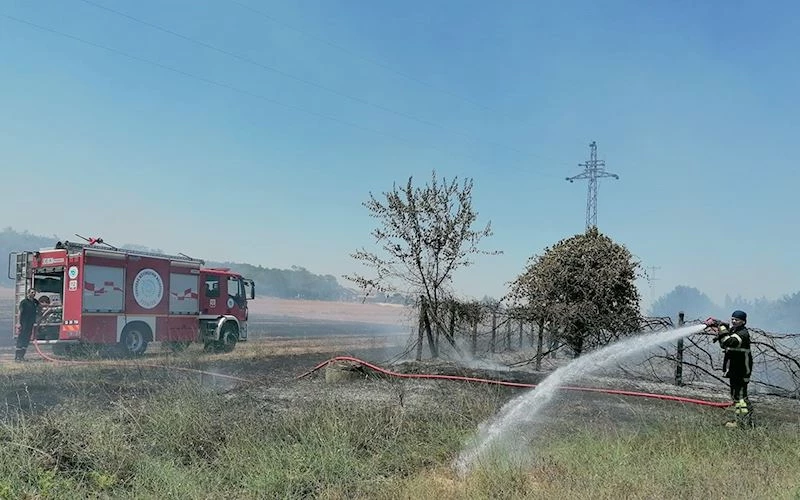 SİGARA İZMARİTİ ANIZ YANGININA NEDEN OLDU