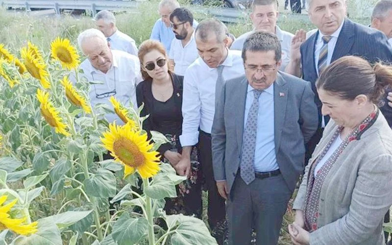 PAKDİL: REKOLTE AÇISINDAN BİR KAYBIMIZ OLMAZ