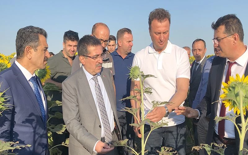 ÇAYIR TIRTILI İSTİLASINDA ÜRKÜTÜCÜ BİR TABLO YOK 