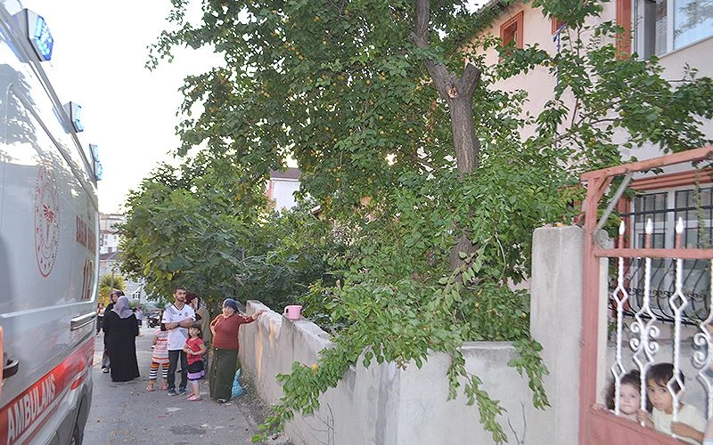 CANI KAYISI ÇEKTİ, TIRMANDIĞI AĞAÇTAN YERE ÇAKILDI