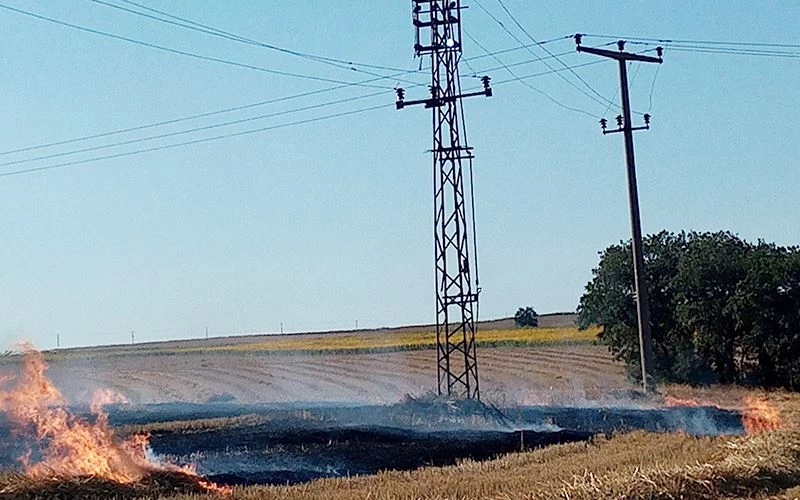 ELEKTRİK TELLERİNDEN KIVILCIM SIÇRADI