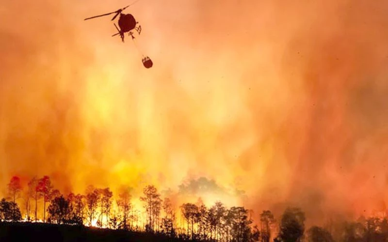 KOMŞU DA ÇIKAN YANGIN KAPIMIZA DAYANDI