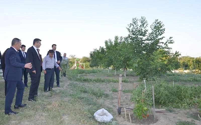 HUZUREVİ SAKİNLERİ KENDİ SEBZELERİNİ YETİŞTİRİYOR