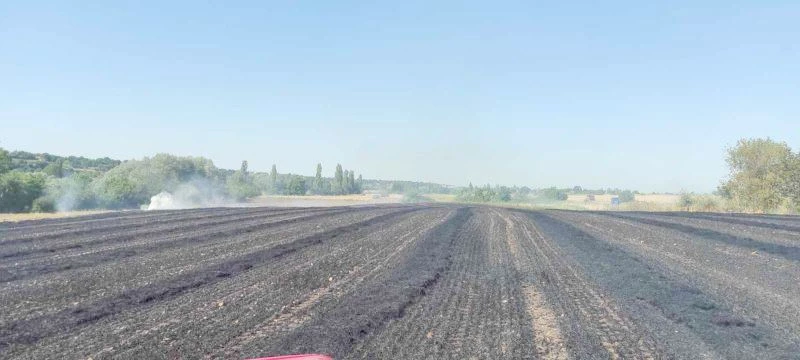 55 DEKAR BUĞDAY TARLASI KÜL OLDU