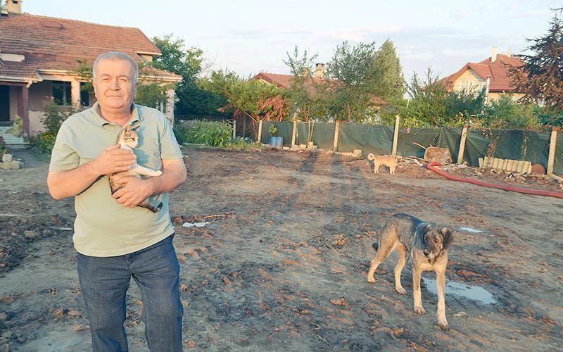 KOYUNLARINI KAYBEDEN BESİCİ: PES ETMEYECEĞİM!