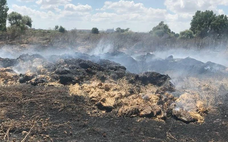 TARLA YANGINI TEDİRGİN ETTİ! 