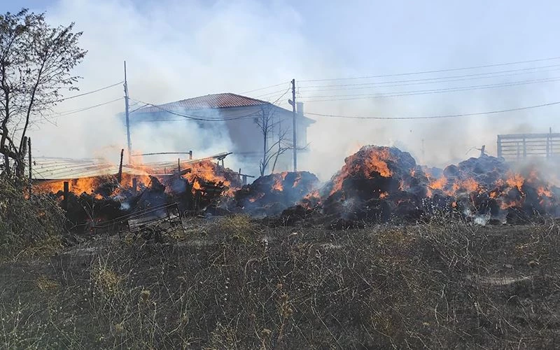 KOYUNLARI TELEF OLAN ÇİFTÇİ GÖZYAŞLARINA BOĞULDU!