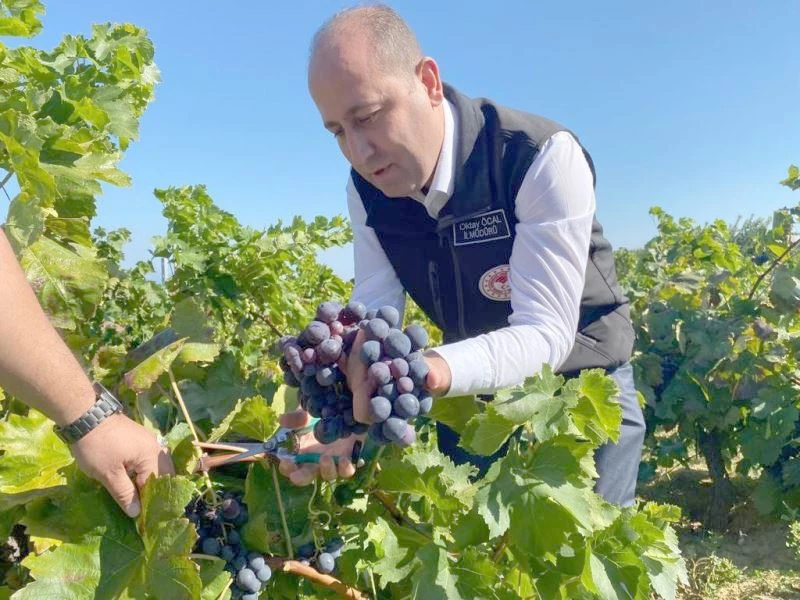 TEKİRDAĞ’DA ÜZÜM ÜRETİCİLERİNİN SORUNLARI MASAYA YATIRILDI