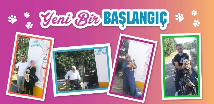 42 CAN DOSTUMUZ DAHA YENİ YUVASINA KAVUŞTU