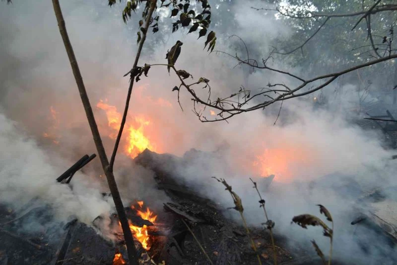 YILDIRIMIN DÜŞTÜĞÜ AĞAÇLIK ALAN ALEV ALEV YANDI